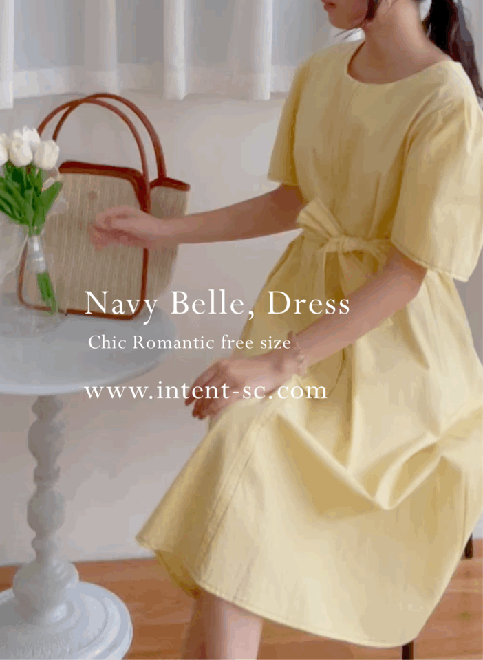 Navy Belle 沿邊車線腰身車褶顯瘦連身裙, Dress/ DS9265 (Navy Sold Out)