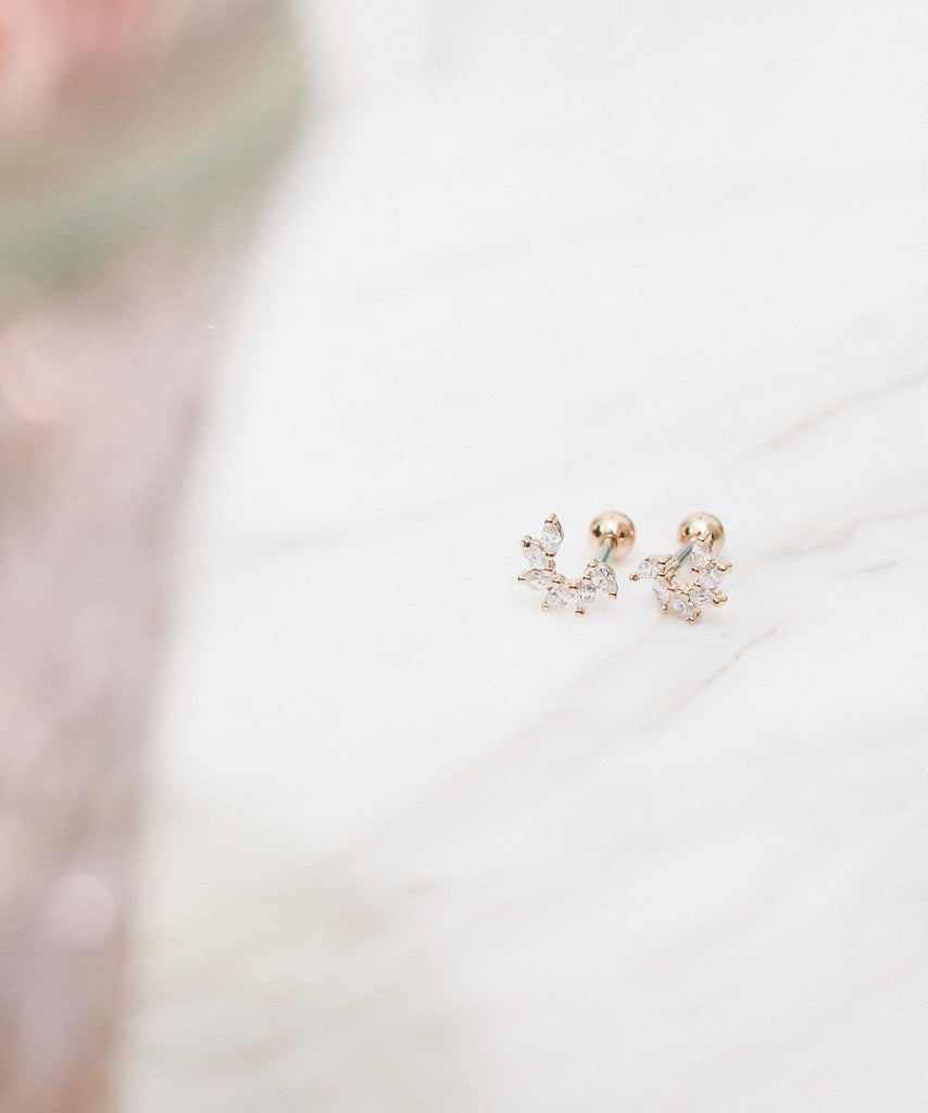 Shining Curve Earrings / ER8171
