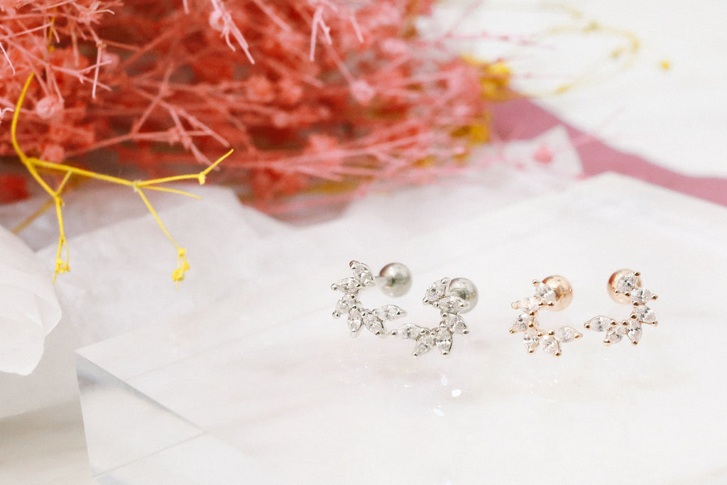 Shining Curve Earrings / ER8171