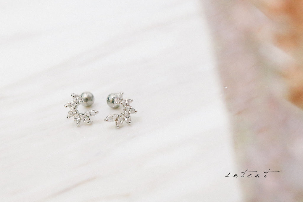 Shining Curve Earrings / ER8171