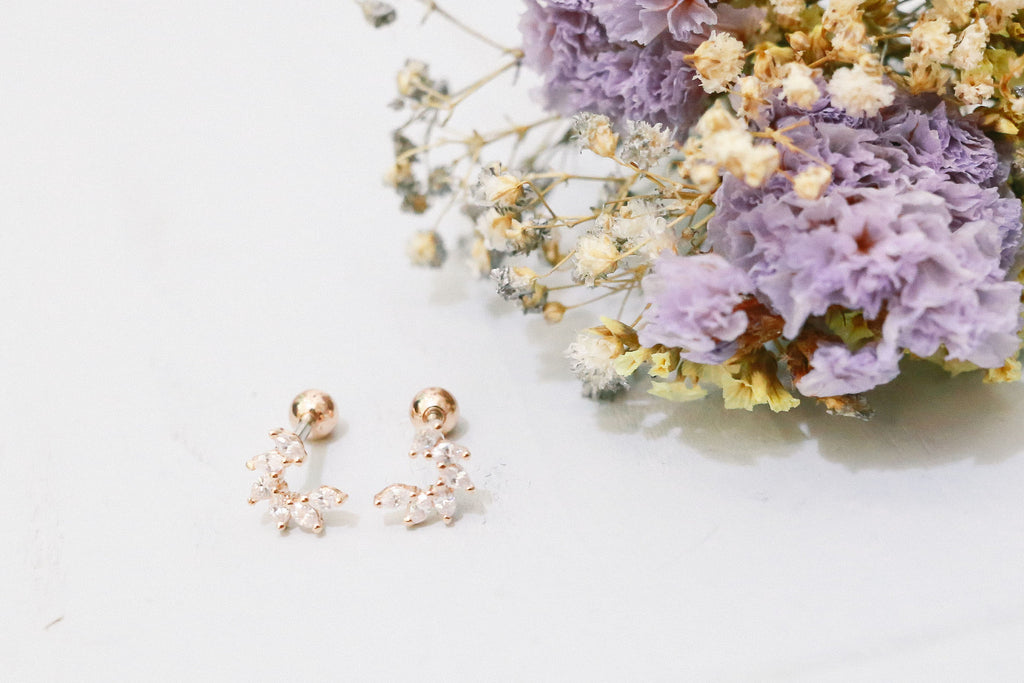 Shining Curve Earrings / ER8171