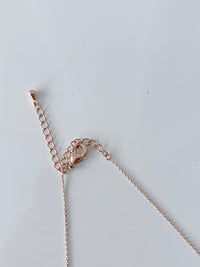 horoscope 花語星座晶石, Necklace/ NL8150 (silver sold out)