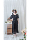 Patterned Lace Dress 格紋通花感修腰連身裙/ DS9861