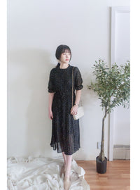 Snowdot 花邊圓領細褶飄逸雪點 Dress/ DS9893