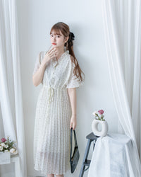 V Ruffle Dot Dress 木耳邊 V 領壓褶雪點雪紡連身裙/DS1162