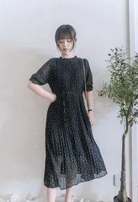 Snowdot 花邊圓領細褶飄逸雪點 Dress/ DS9893