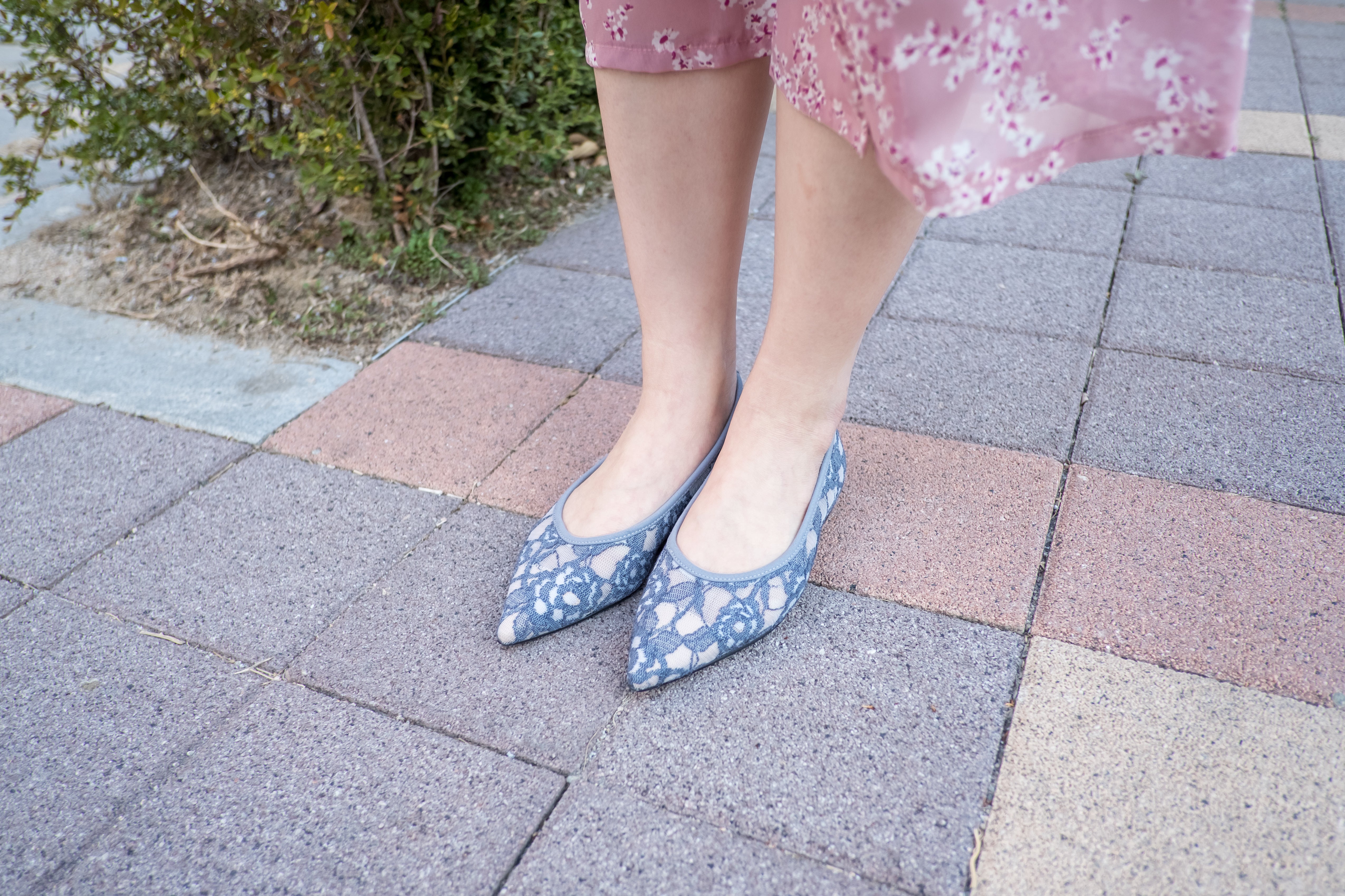 Greyishblue-Lace 內裡透視優雅蕾絲, Pointed shoes/ SH8058