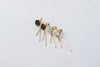 Marble Drop Bar, Earrings/ ER8252