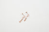 Sliver Tassel Earrings(Silver/Rose-Gold) / ER8109