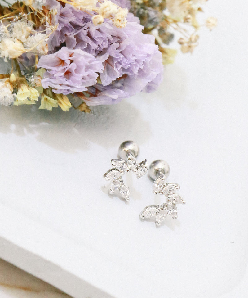 Shining Curve Earrings / ER8171