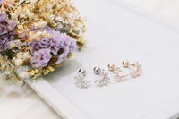 Shining Curve Earrings / ER8171