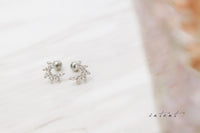 Shining Curve Earrings / ER8171