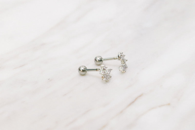 Shining Curve Earrings / ER8171