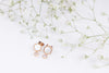 Pansy, Earrings / ER8218