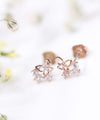 Ziron Butterfly, Earrings  / ER8231
