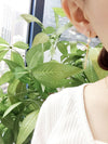 Long Bar & Tassels Earrings/ ER8156