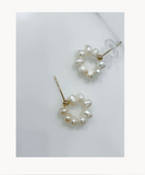 Freshwater Pearl, Earrings/ ER8320